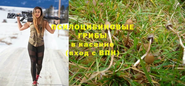 круглые Алексеевка