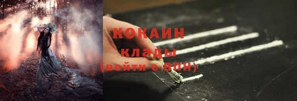 ПСИЛОЦИБИНОВЫЕ ГРИБЫ Алзамай