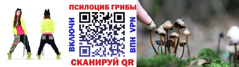 Псилоцибиновые грибы Psilocybine cubensis  где можно купить наркотик  Исилькуль 